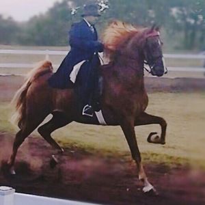 Meet your Posher, An unlisted